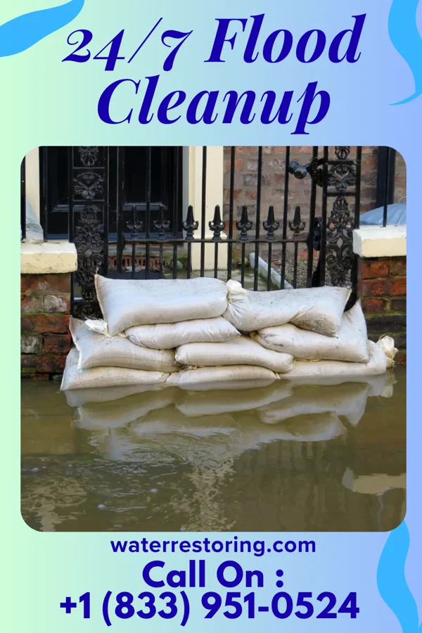 24/7 Flood Cleanup in Woodside, DE