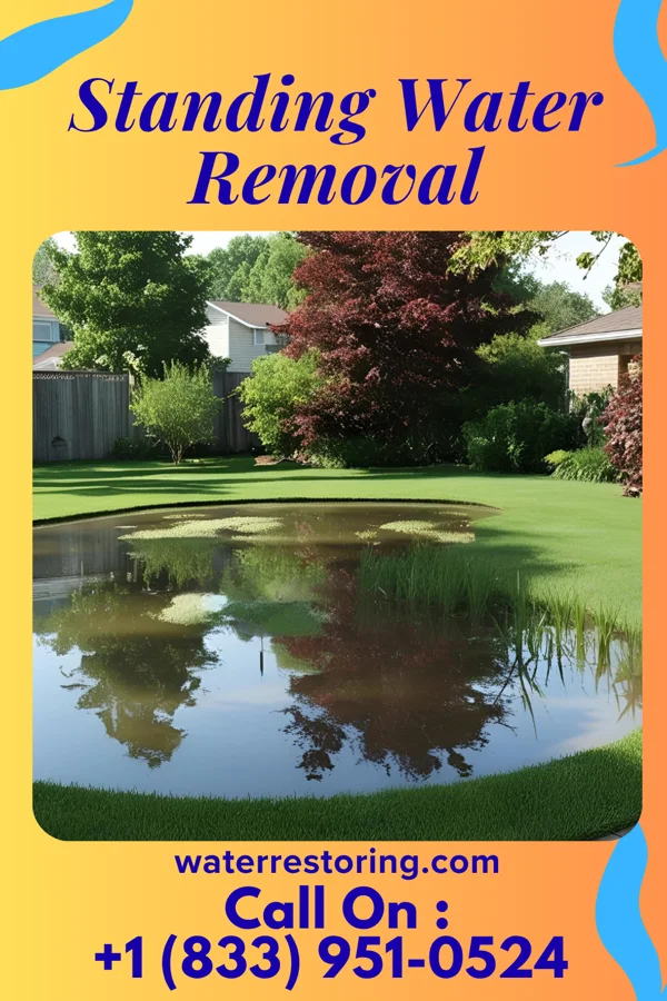 Standing Water Removal in Woodside, DE